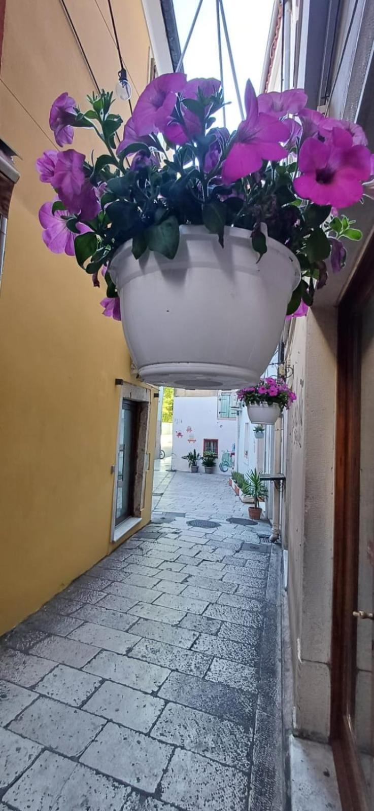 Townhouse Sea View Βίλα Ζαντάρ Εξωτερικό φωτογραφία